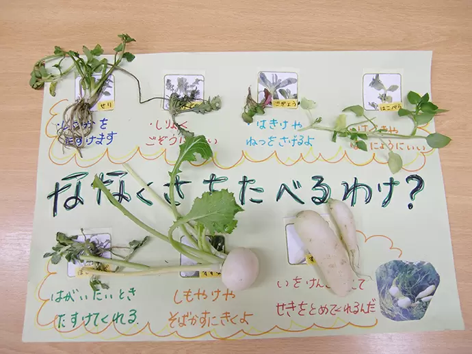 食べて、学んで、記憶に残る食育プログラムを行っています。