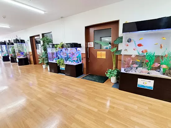 リネンサプライや観賞魚リースなど、競合の少ない事業を展開し、確かな安定基盤を築いています。