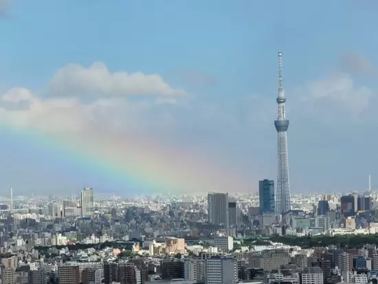 オフィスからはスカイツリーがこんなにきれいに見えるんです！
