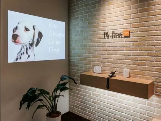 設立当初から掲げている「ペット最優先」の想いのもと、様々な事業を展開し、成長を続けています。