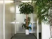 社内は緑が溢れ空気もとっても良いですよ！