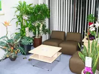 当社オフィス・応接室　＜緑がいっぱいです＞