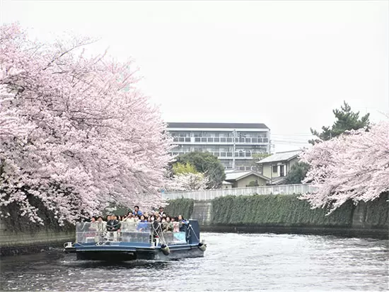 桜の季節に船上から水辺探索も♪