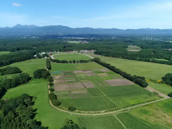 1917年創業の「東北牧場」で栽培された無農薬・無化学肥料の野菜やハーブを味わえるのも、当ホテルの魅力。