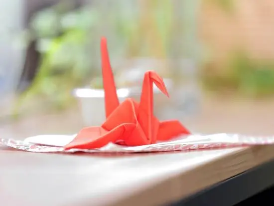 「ミガリオ」という社名の由来について