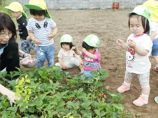 自然に触れ合うことを大切にした園を運営しています♪