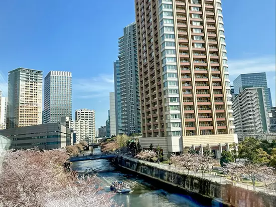 ＼+☆物件紹介から内装プランニングまで～不動産事業を通してオフィスと企業をつなぐ～☆*／