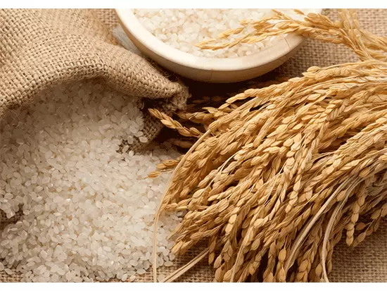 勇心酒造株式会社【スキンケアブランド「Rice Power」】