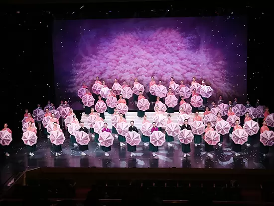 伝統の『桜パラソル』。華やかな舞台で観客を魅了しています。