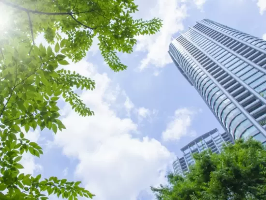 日本文化の伝統を受け継いでいく