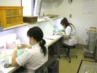 私たちがいなければ、医薬品の安全性が損なわれてしまいます