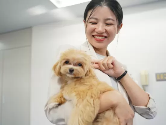 昨年移転した新オフィス。当社ではワンちゃんを飼っており、みんなを笑顔にしています☆