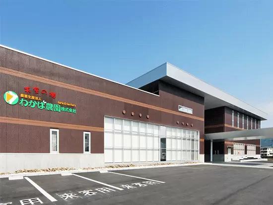 『野菜』を様々なカタチでお届けするニーズの高い取り組みを行っています！