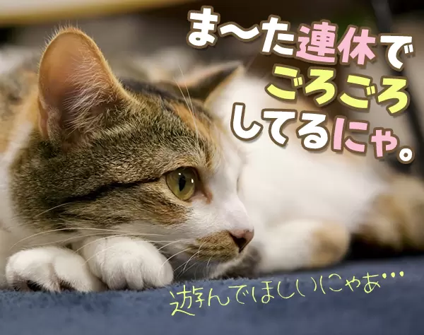 フロントスタッフ*正社員なのに月7～8回勤務*手当豊富*残業ほぼなし