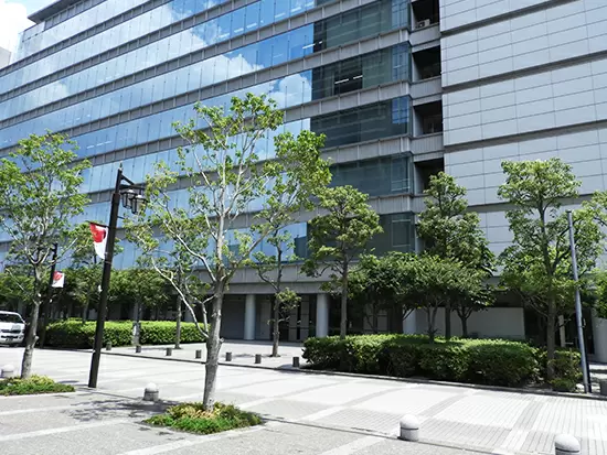 活躍している先輩方の前職は様々。未経験でも心配なくデビュー出来ます◎