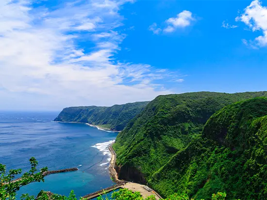 空の安全を守る、業界トップクラスの警備企業