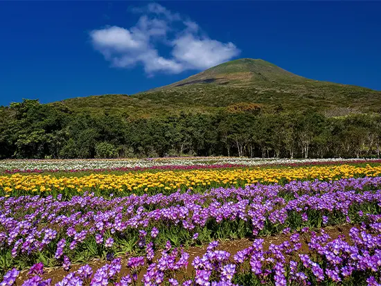 温泉と自然が調和した癒しの環境◎