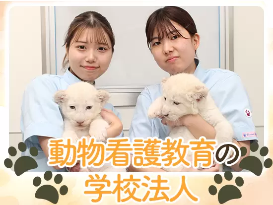 取材企画で時には珍しい「ホワイトライオン」に出会えたり、動物好きにはたまらない環境です！