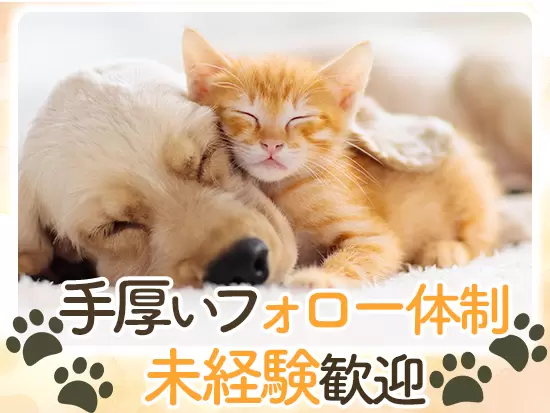 未経験者の方も丁寧にサポートしていくので、ぜひチャレンジください！