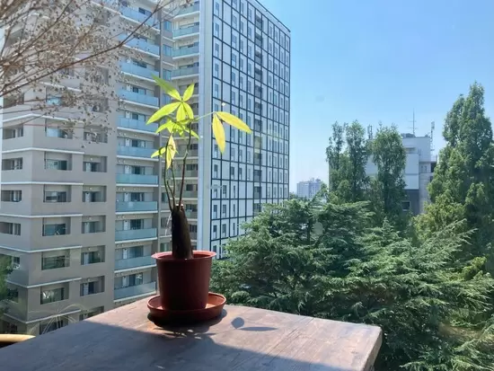 裁量を持って企画を手掛けられるところが募集中ポジションのポイント◎