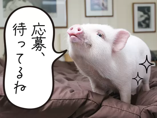 学歴・経歴一切不問！より多くの方にお会いしたいと考えております♪