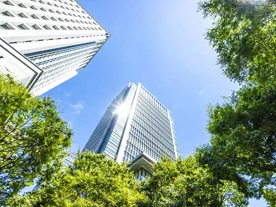 国宝や文化財などの建築物から住宅まで、建物や住まいの健康を守る会社。
