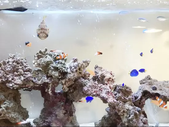 「ひまわり」のような明るい笑顔のスタッフが揃っています。