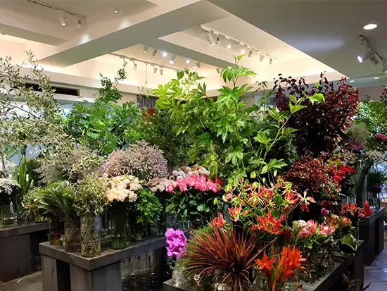 色とりどりの花が並ぶ店舗と同じ場所にオフィスがあり、花や植物に癒やされる環境です♪