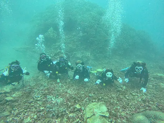 夏には海でスキューバダイビングやBBQをしました！最高で〜す♪