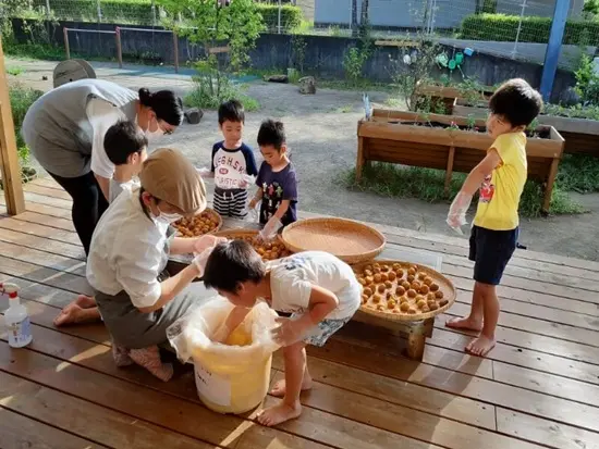 エディブルスクールヤード（食育菜園）を当園は持ち、食育を行っています