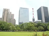 晴れた日の休憩は日比谷公園で♪正面のビル19階が当社です。