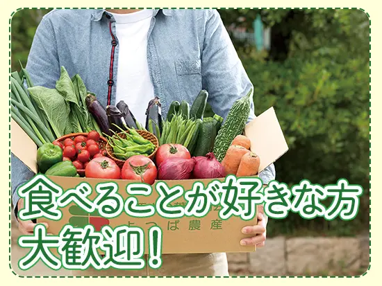 常に新鮮なお野菜と触れられるのが当社の魅力です！