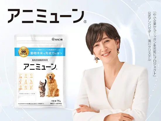 誰もが​知る​国民的タレントも​登場する​プロダクトを​日本そして​世界へ！​