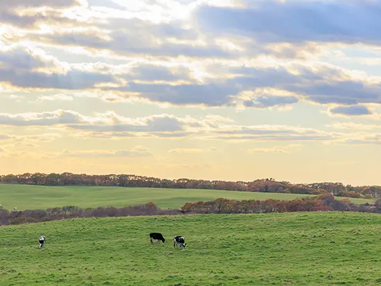 地域おこし協力隊60名以上が活躍する町