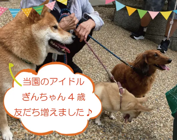 【ペットセレモニーの運営】動物好きが集まる会社です☆家賃敷金礼金負担有