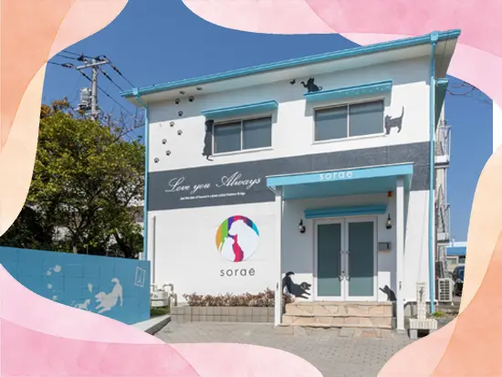 東京では、人だけでなくペットのご葬儀も行っています！