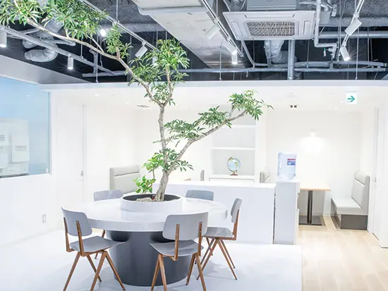 白を基調にグリーンを取り入れたカフェのような空間で、落ち着いた雰囲気の中で仕事に集中できます。