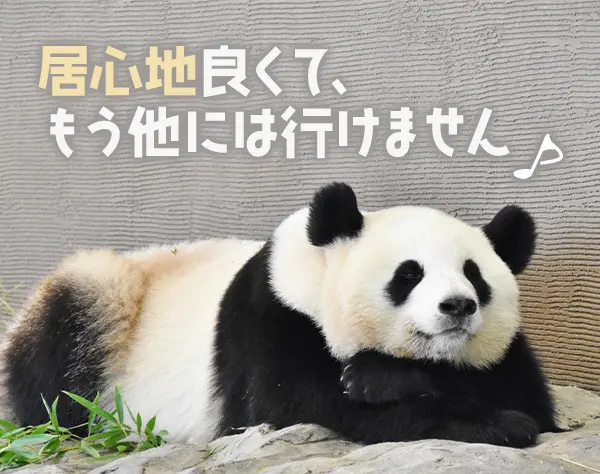 開発エンジニア#経験浅めOK#前給保証#残業月10h#自社内開発8割#完全在宅可