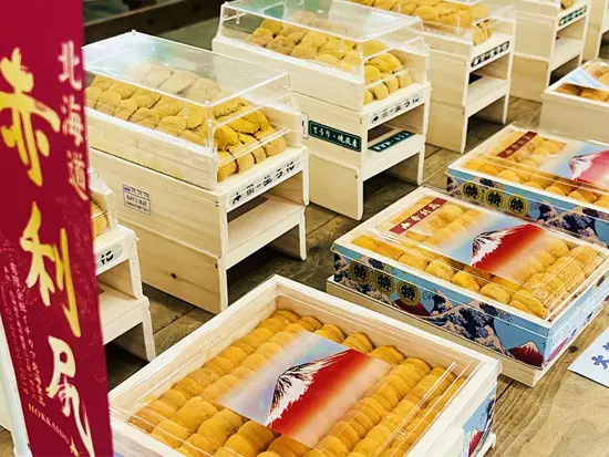 豊洲市場から、日本の「おいしい」を支える。