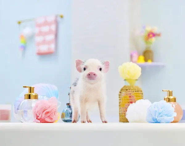 飼い主様のサポート／未経験OK／月給25万円～／髪色・ネイル自由