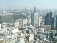 オフィスは新宿センターヒ゛ル50Ｆ。癒されます。