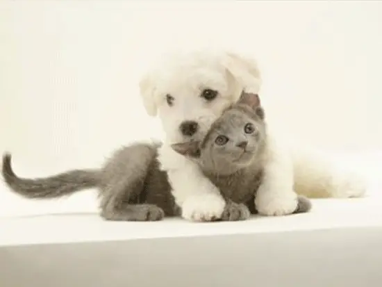 好きをシゴトにできて、毎日楽しく働けています♪