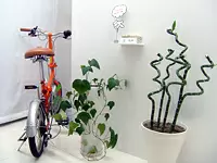 五感を刺激するセンシブルなオフィスデコレーション！