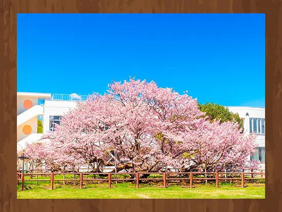 目指すのは「若者が若者を呼ぶ町”別海町”」！
