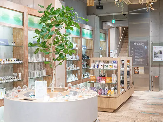 アイデアを活かして、店舗づくりに関われる◎