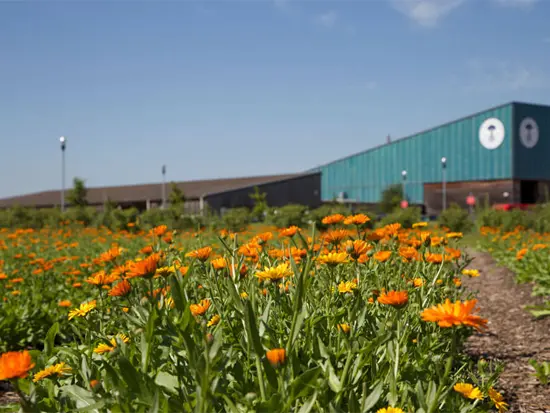 大量生産ではなく、丁寧な製品づくりにこだわりを。
