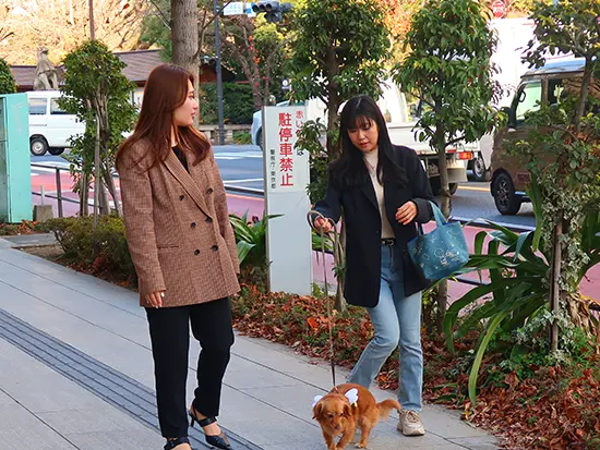 最初のきっかけは「犬が好き」でも大歓迎♪