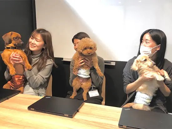 癒やし度バツグン！ペット同伴出社OK♪