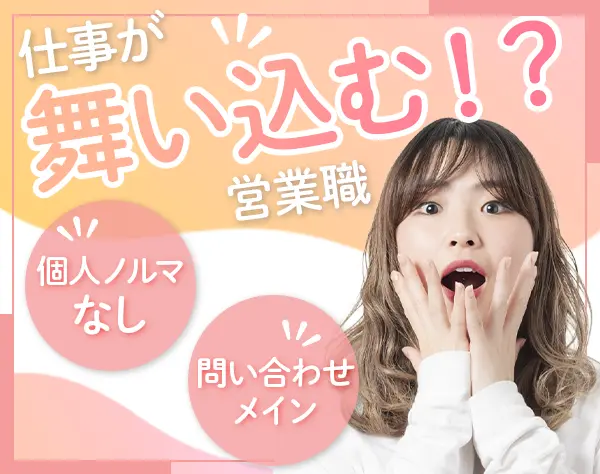 お問い合わせ対応営業＊未経験OK＊ほぼ100％反響営業＊メール対応中心