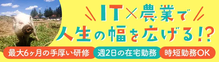 初級エンジニア/未経験OK/最大6ヶ月研修/時短OK/週2リモート/ママ活躍